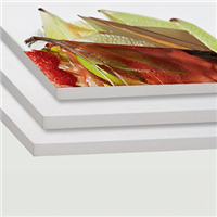 Foam Board